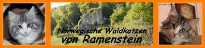 Banner Ramenstein